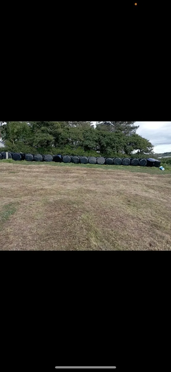 Silage bales - Image 2