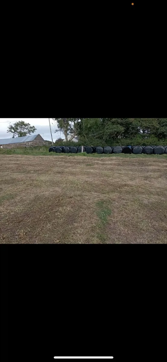 Silage bales - Image 3