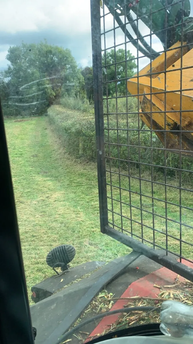 Hedgecutting - Image 2