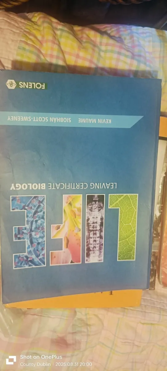 School books - Image 4