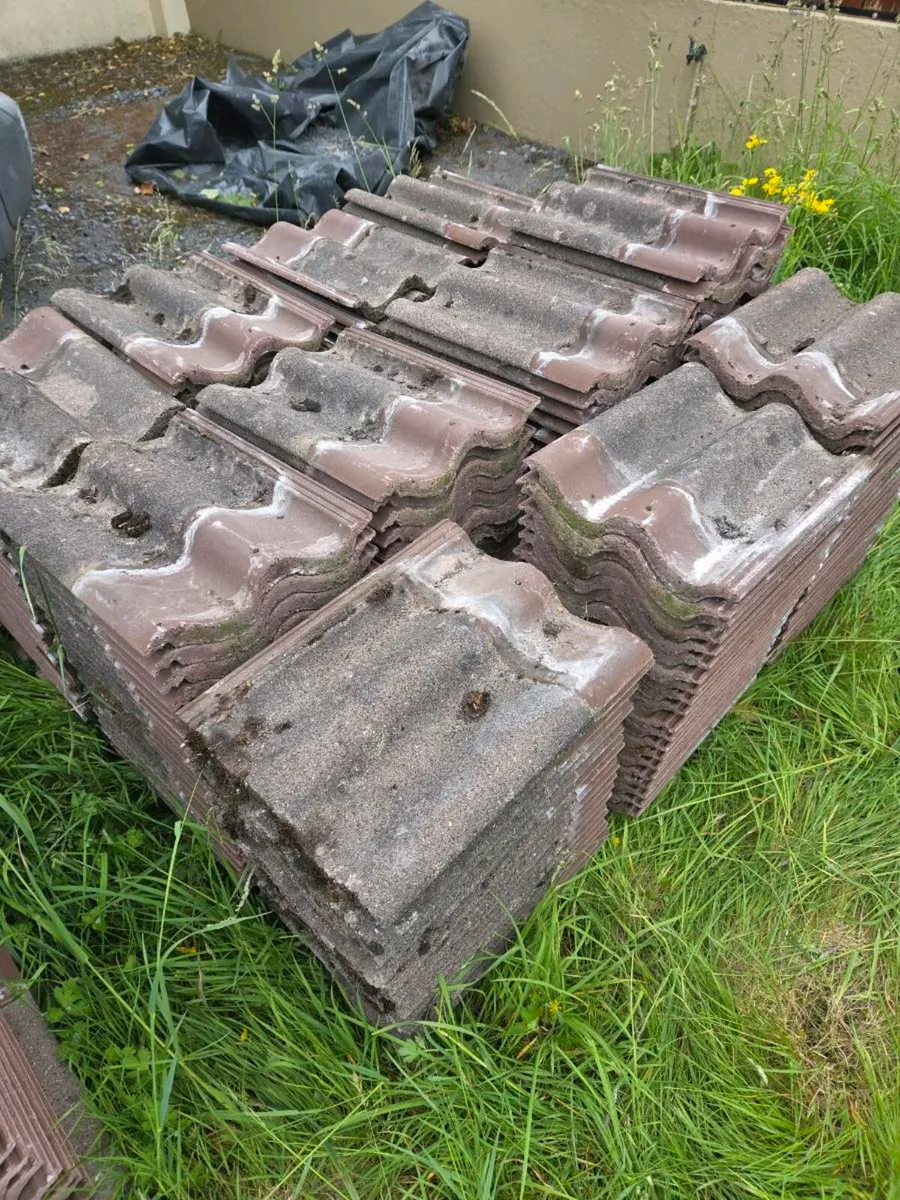 Condron ccw roof tiles - Image 3