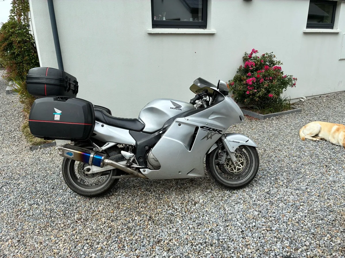 Honda CBR 1100 Blackbird - Image 1