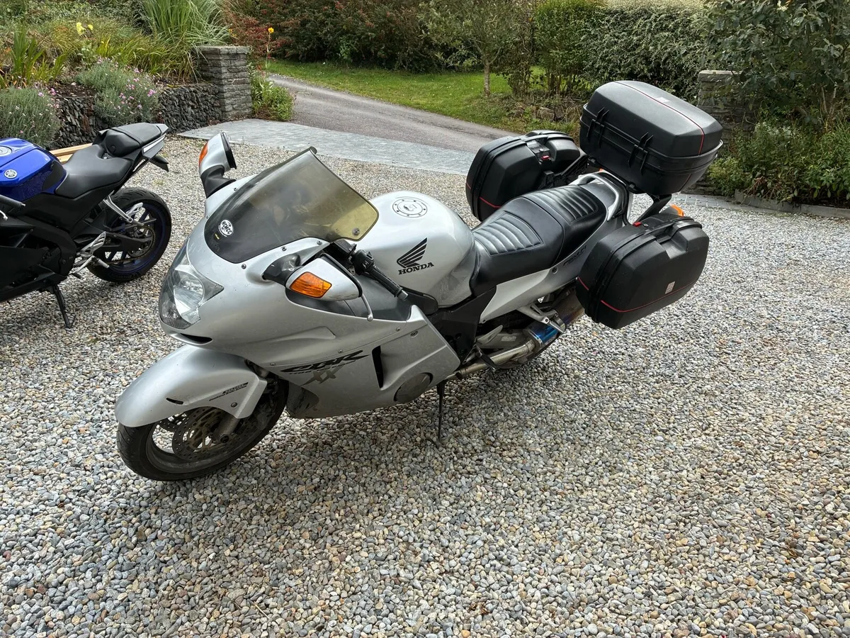 Honda CBR 1100 Blackbird - Image 2