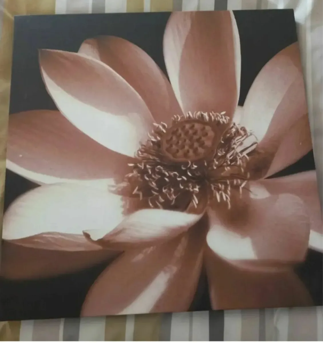 3 Large Canvas Pictures