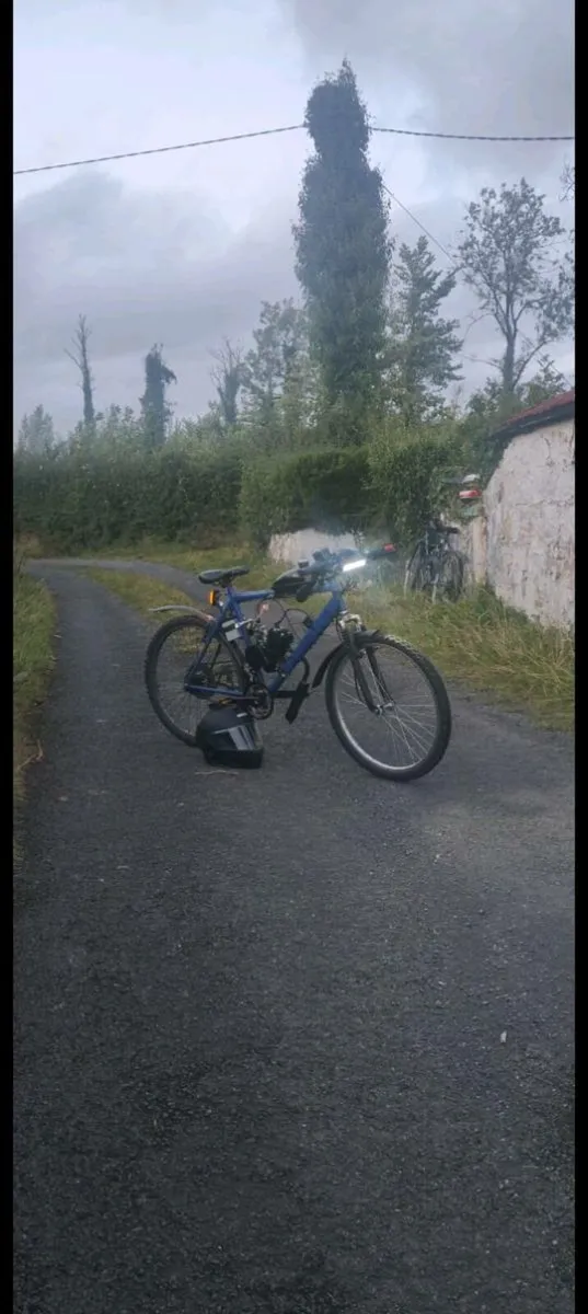 80cc Engine Bike - Image 2