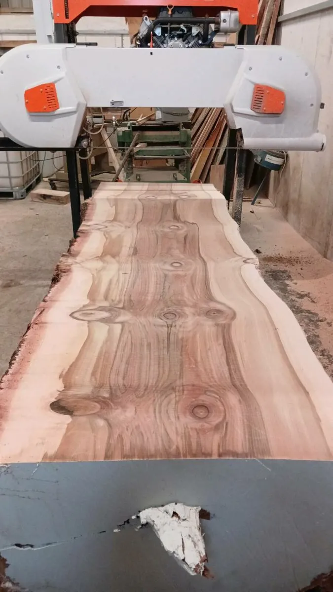 Milling tree trunks plaks timber posts live edge - Image 1