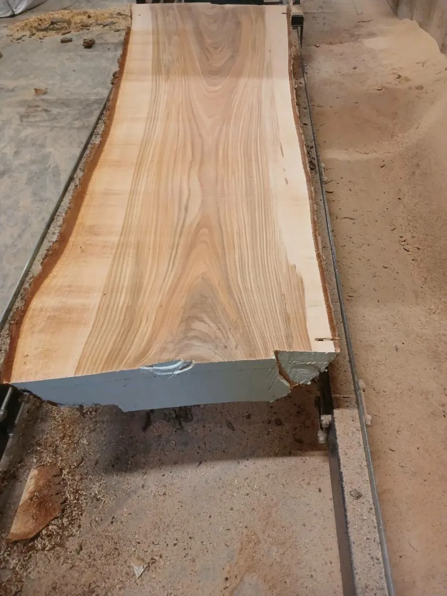 Milling tree trunks plaks timber posts live edge - Image 4