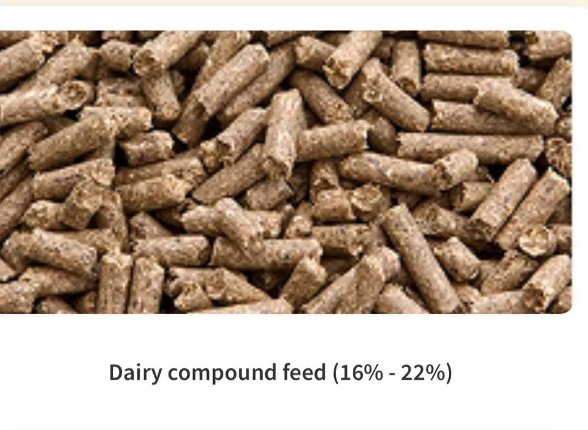 Organic Feed - Image 2