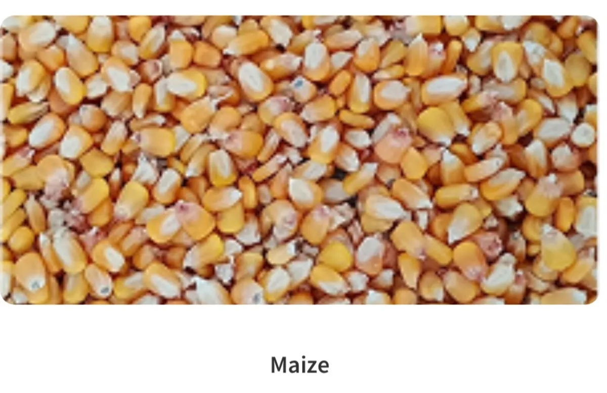 Organic Feed - Image 3
