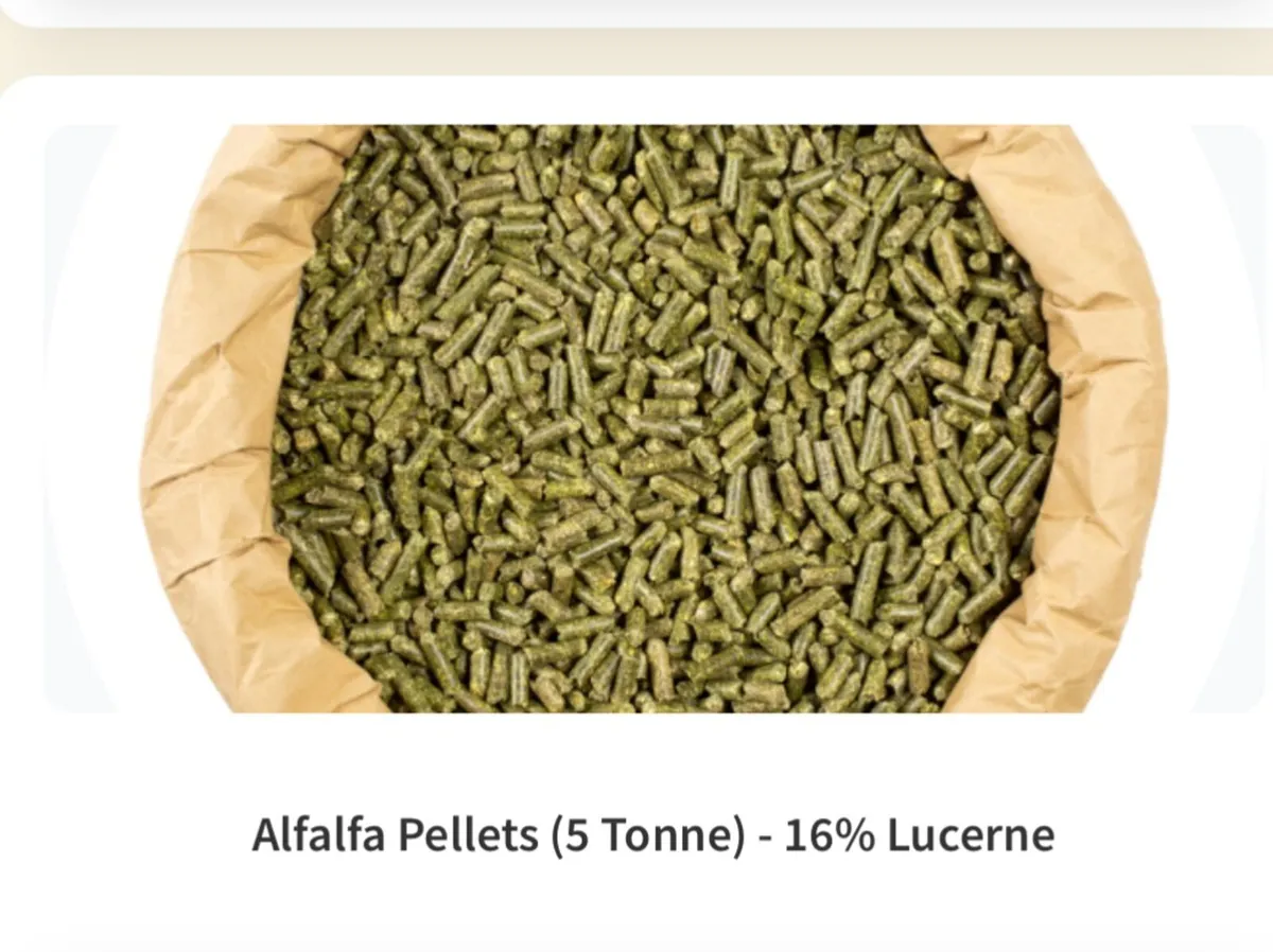 Organic Feed - Image 4