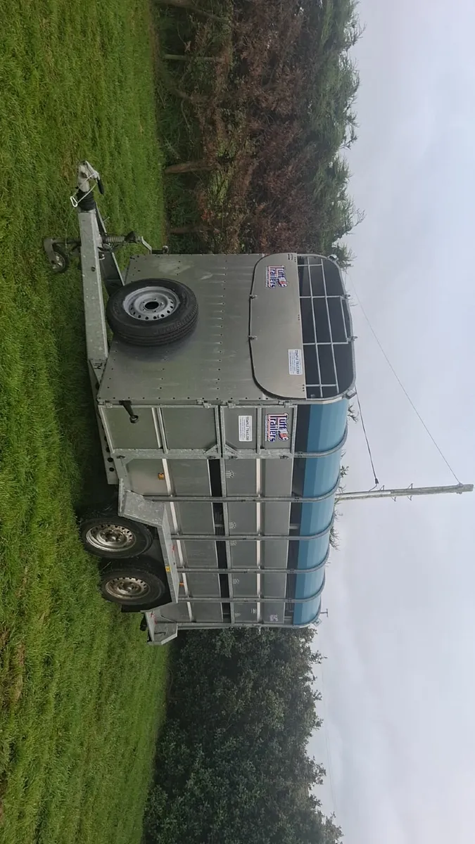 Cattle Trailer - Image 2
