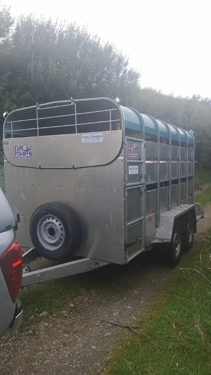Cattle Trailer - Image 3