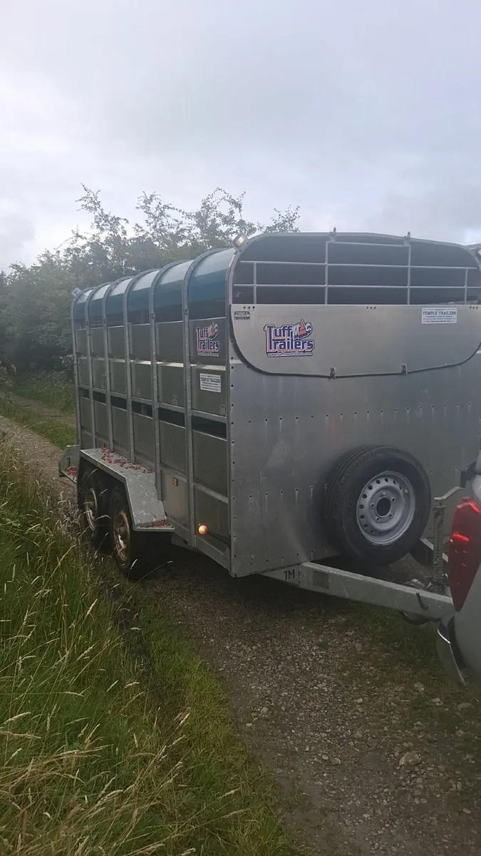 Cattle Trailer - Image 1