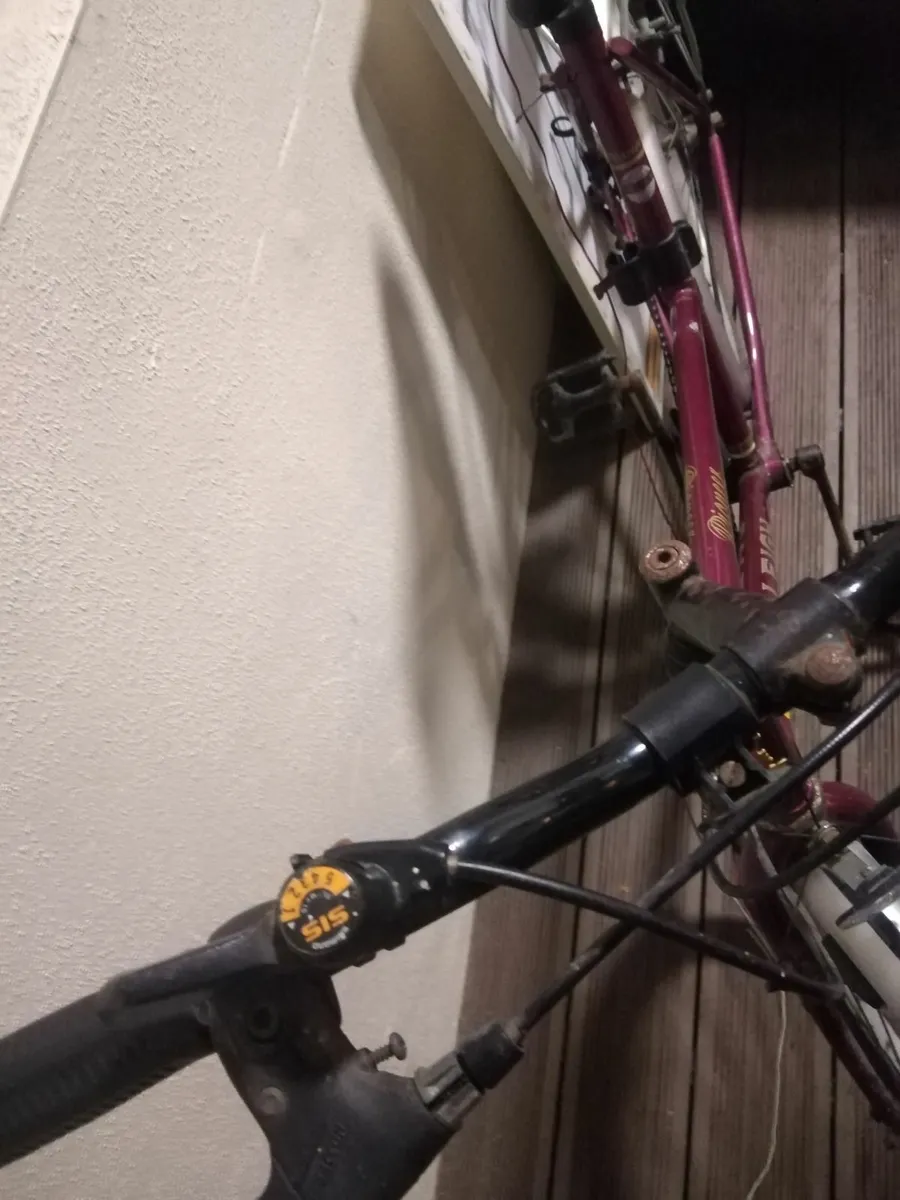 Raleigh Bike. - Image 1