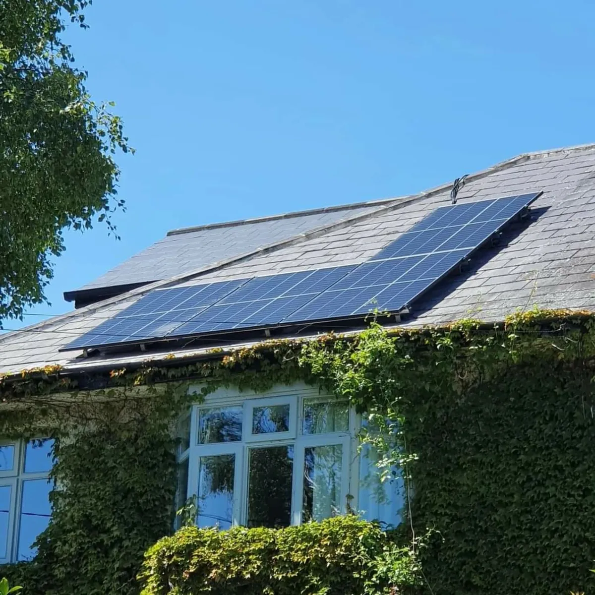 Roofing & Maintenance - Image 4