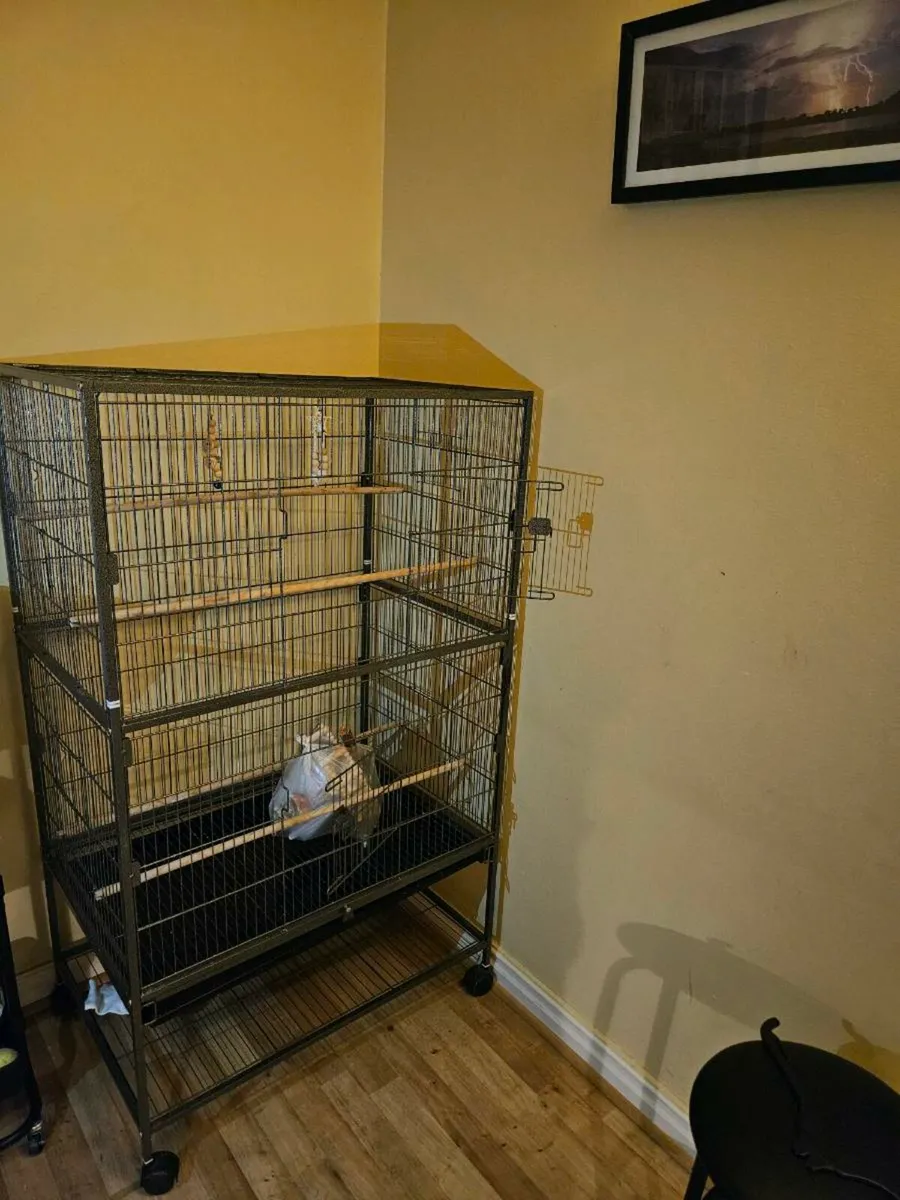 Bird Cage Large - Image 1