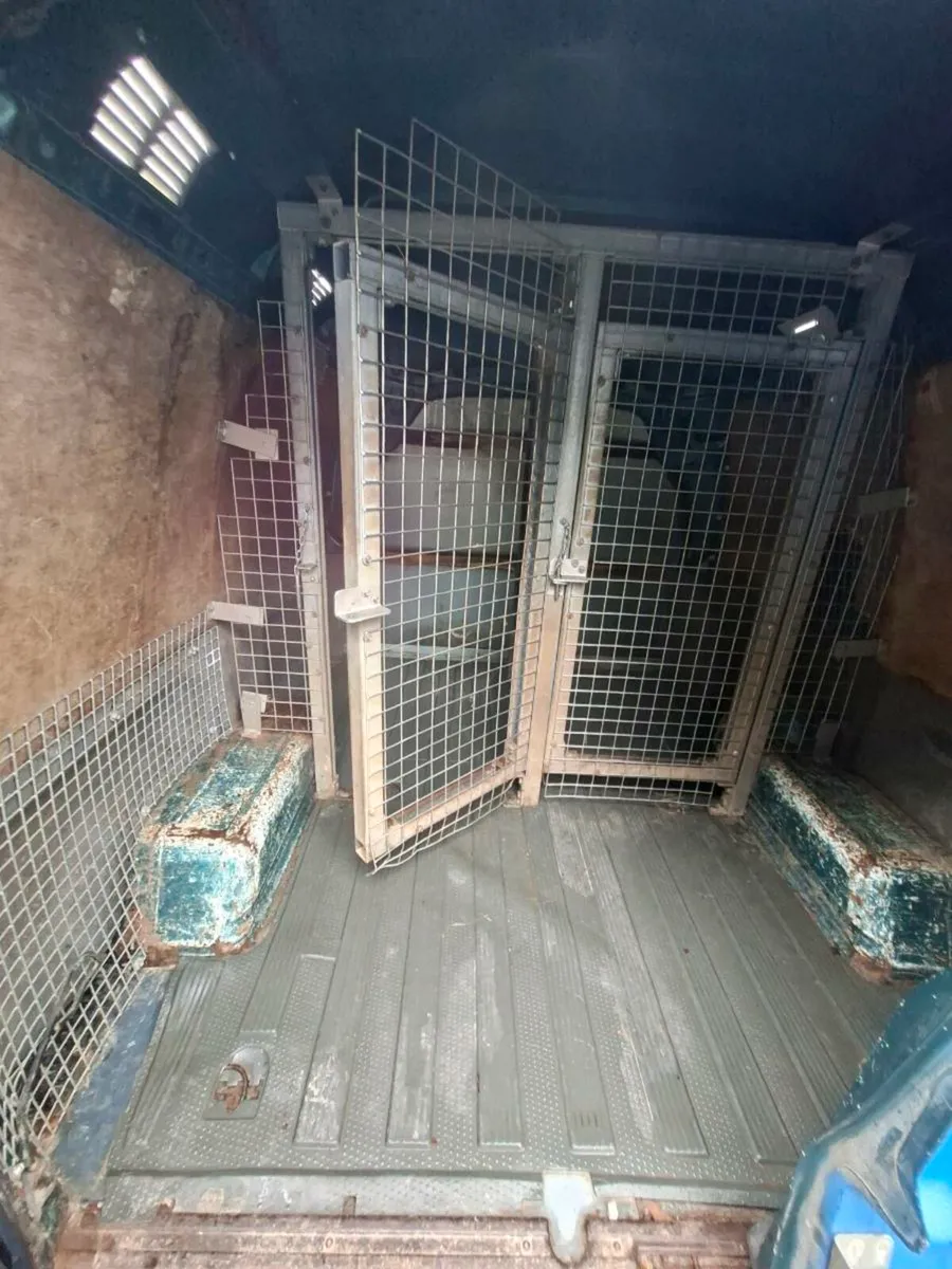 Dog trailer - Image 4