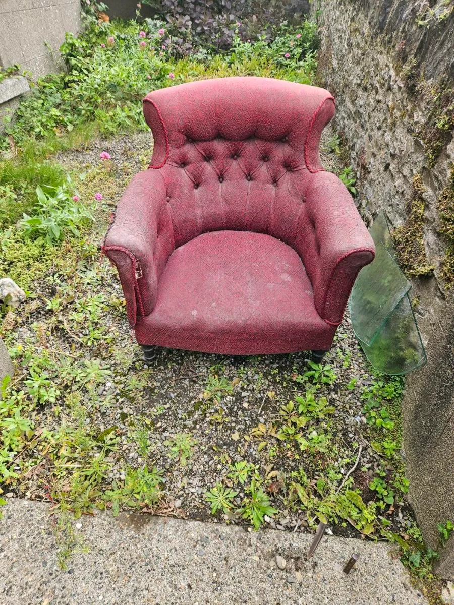 Vintage Antique Tub Chair - Image 1