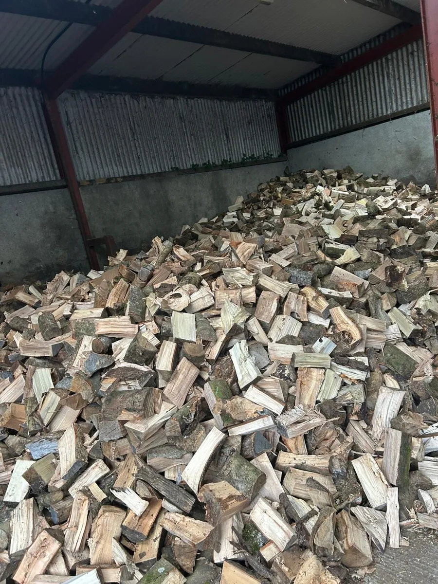 Firewood - Image 1