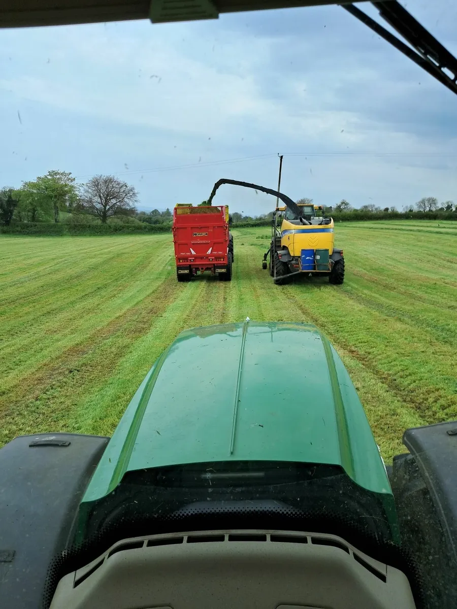 1st 2nd 3rd and 4th cut - Image 3