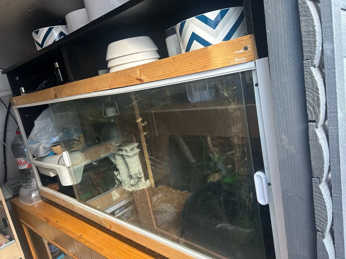 Reptile tanks - Image 2
