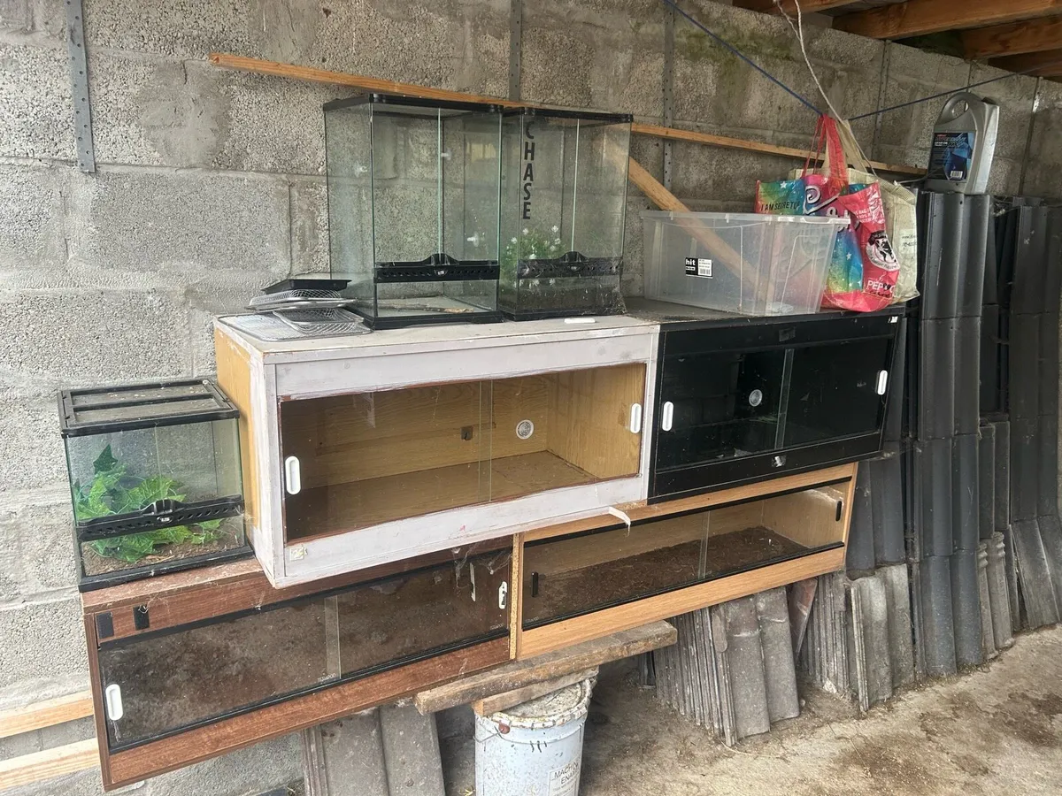 Reptile tanks - Image 3