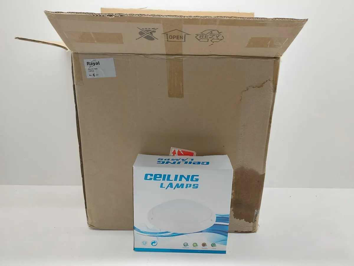 Online Auction Of Ceiling Lamps & More! - Image 1