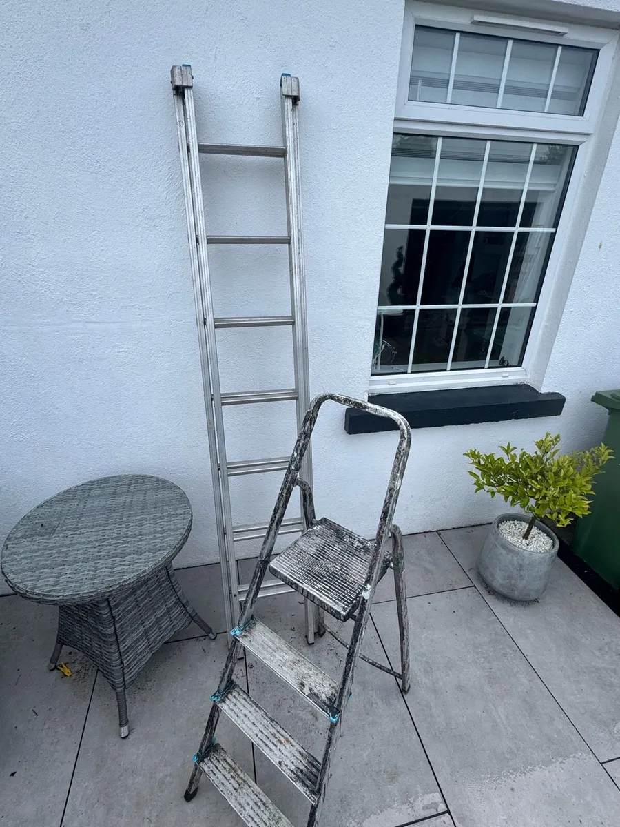 2 ladders - Image 1