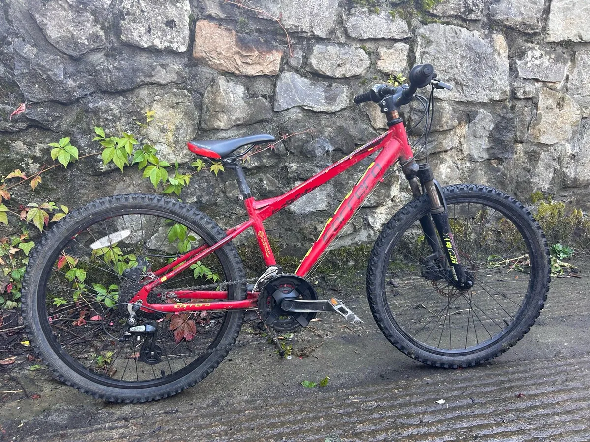 24 inch mountain Bike - Image 1
