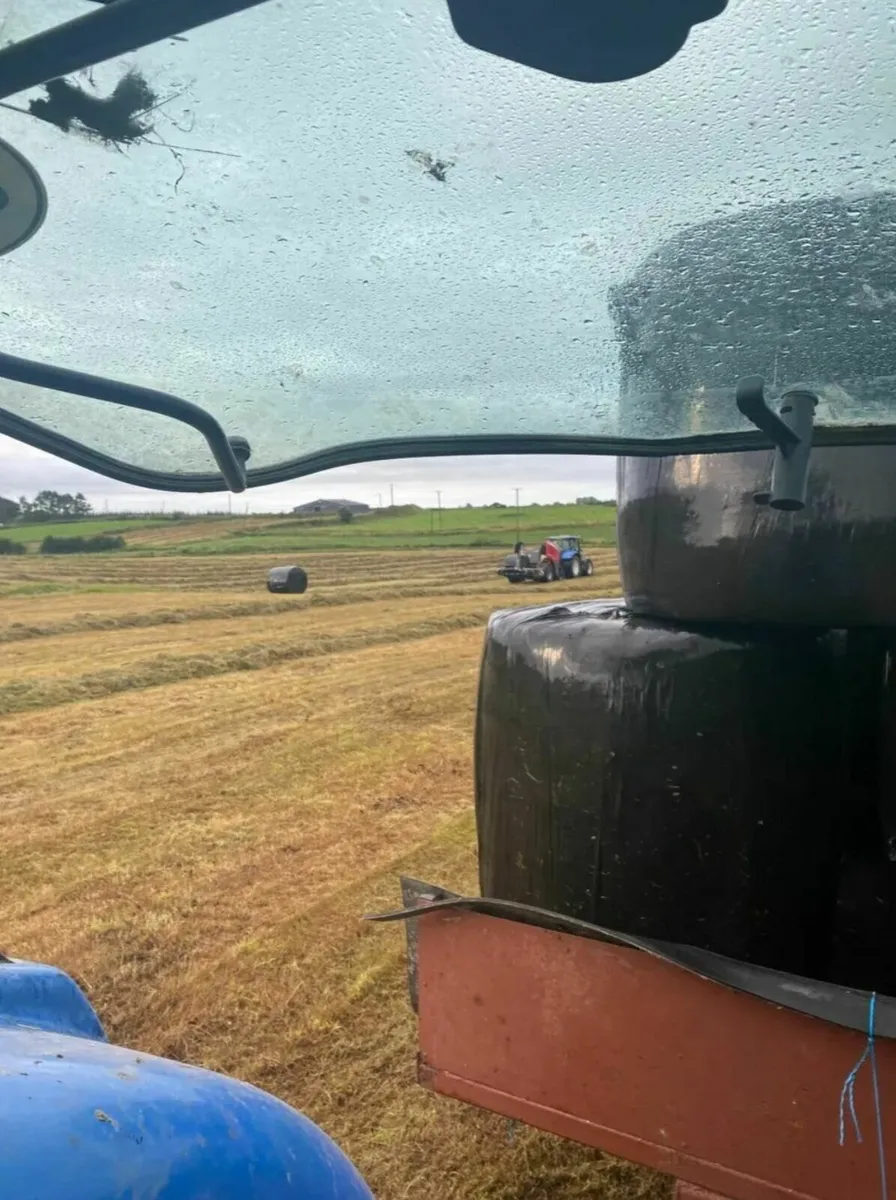 High-Quality Silage Bales – €29.99 Each - Image 4