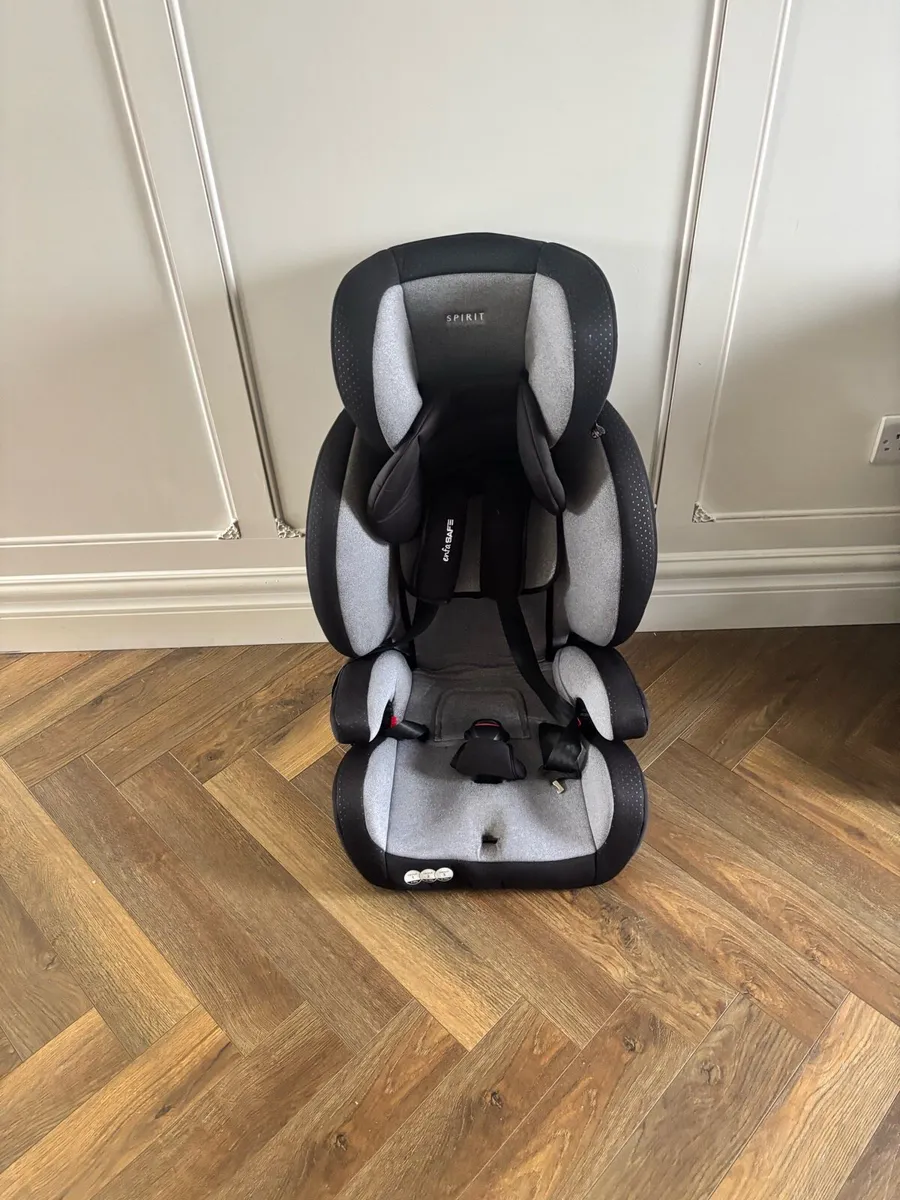 9kg to 36kg SPIRIT enfaSAFE - Image 3
