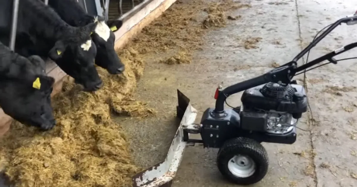 Yard scraper - Image 2