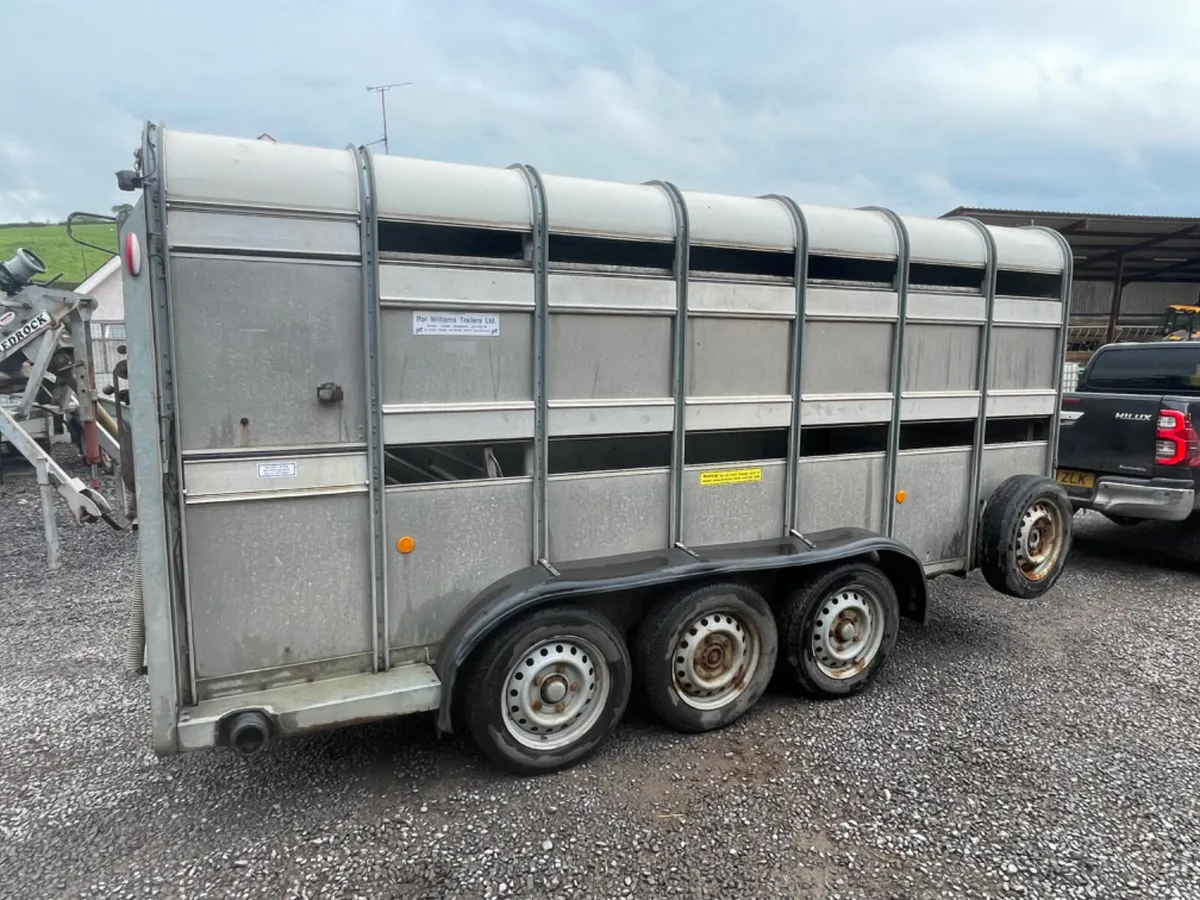 Ifor Williams 14ft x 5ft 10” cattle trailer - Image 3