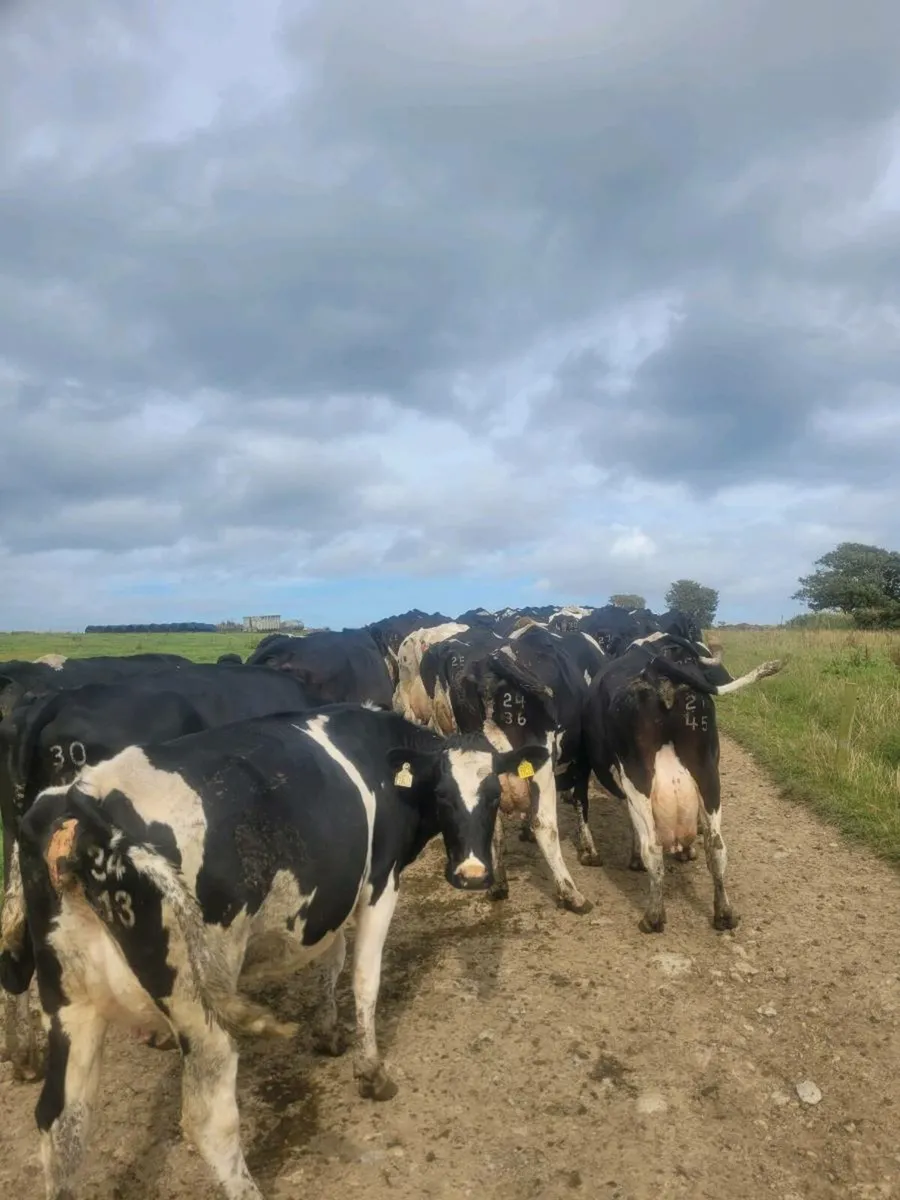 Farm Assistant