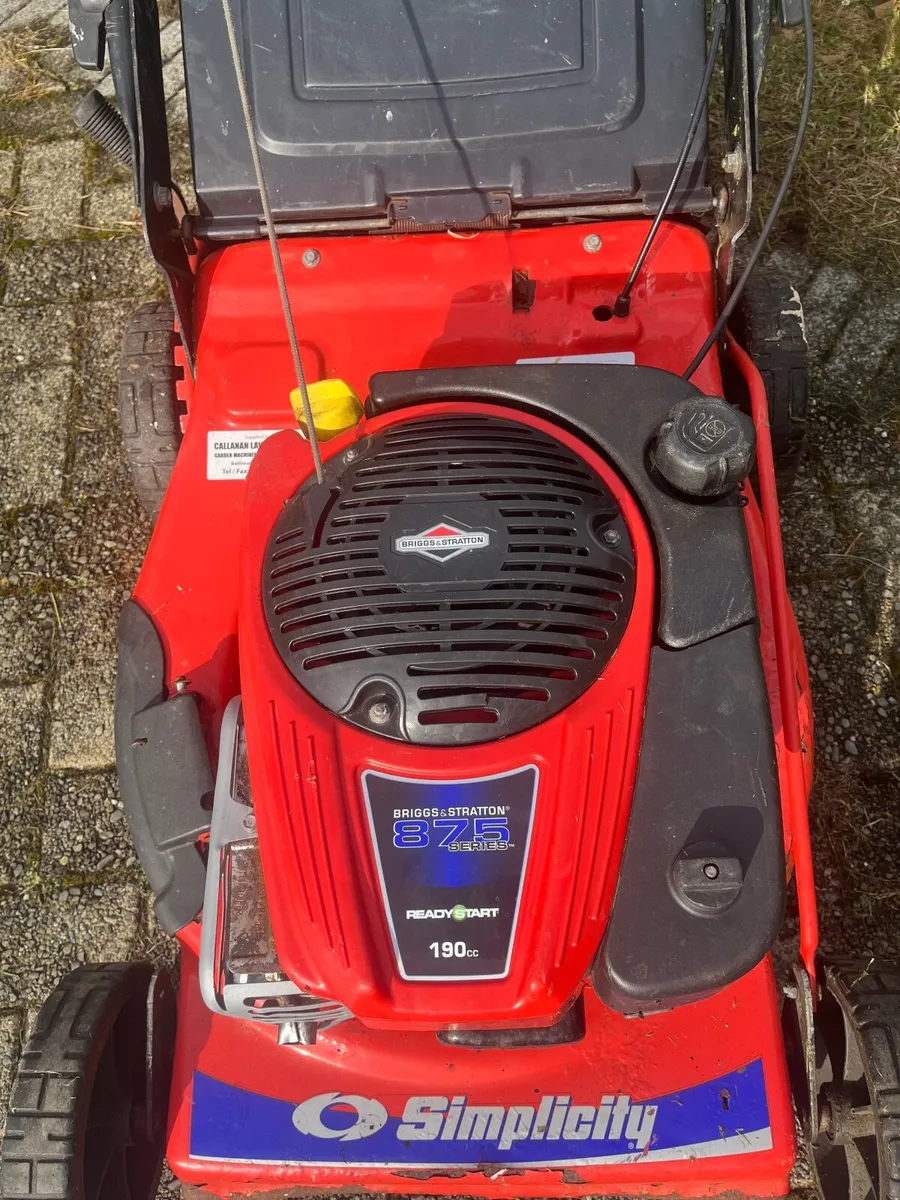 Lawnmower, can deliver - Image 2