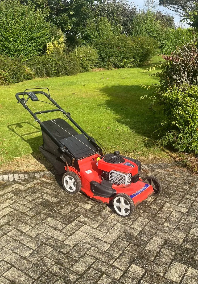 Lawnmower, can deliver - Image 1