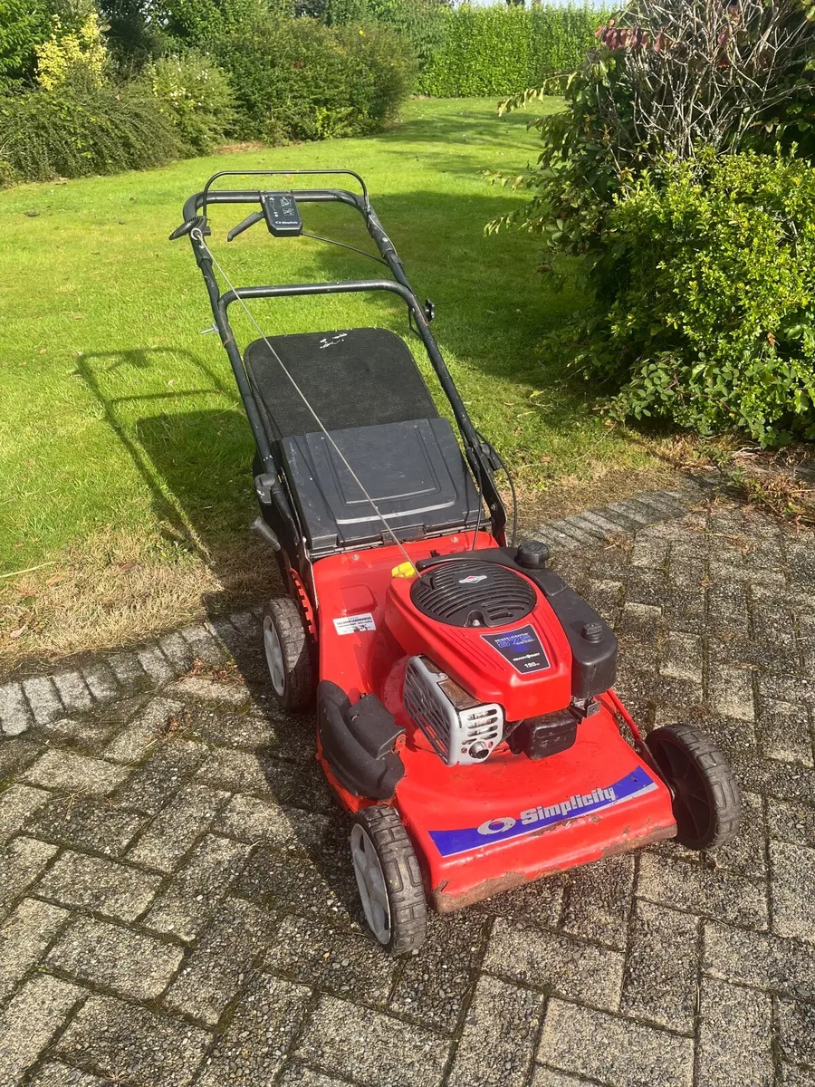 Lawnmower, can deliver - Image 3