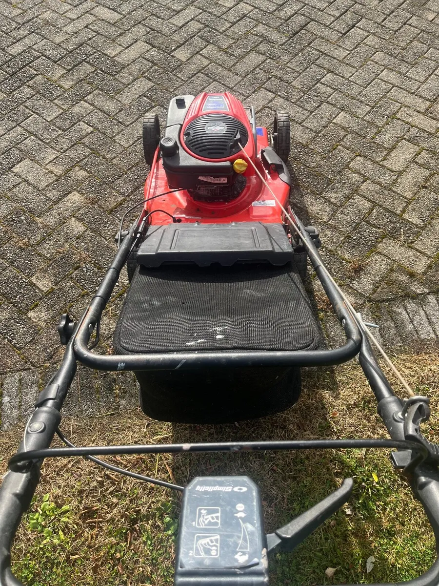 Lawnmower, can deliver - Image 4
