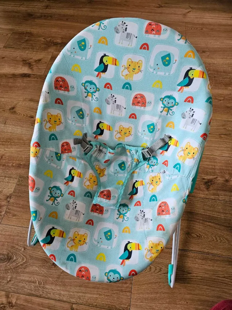 Baby Bouncer - Image 1