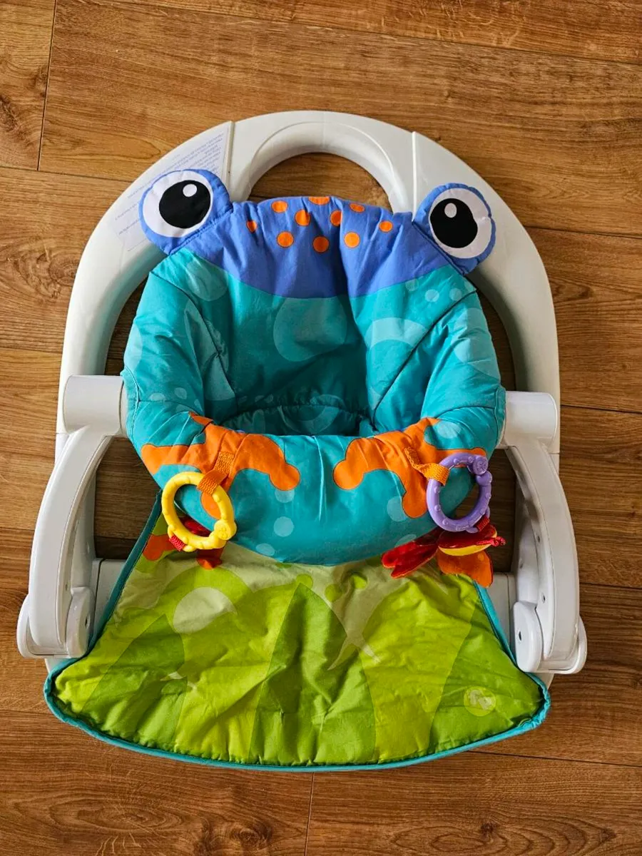 Happy Frog Baby Seat - Image 1