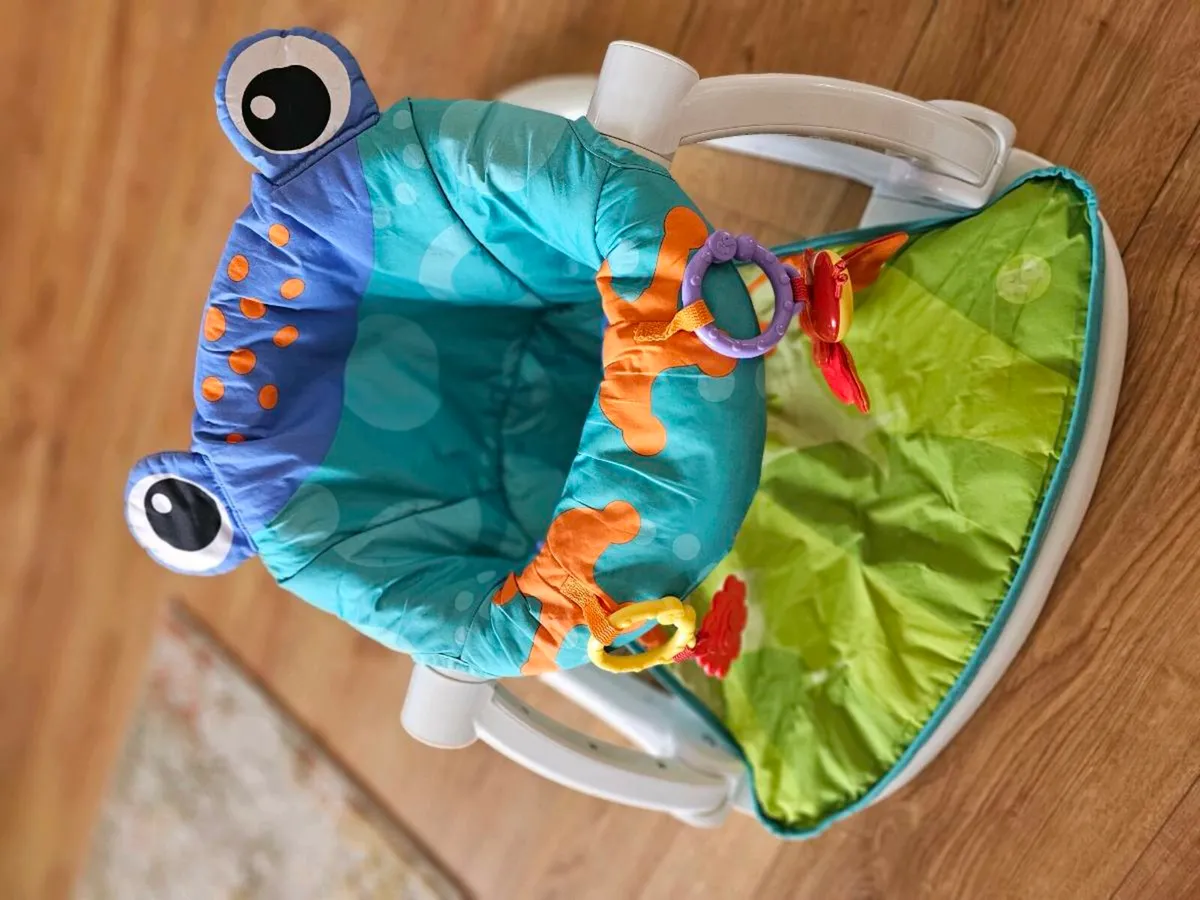 Happy Frog Baby Seat - Image 2