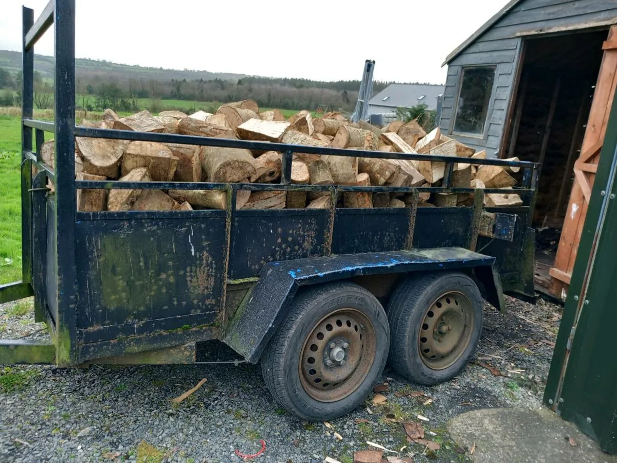 softwood &hardwood - Image 2