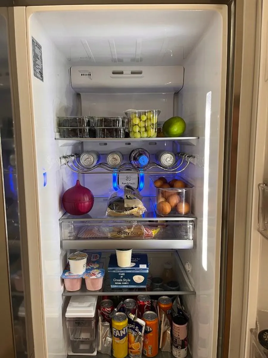 American Fridge/ Freezer - Image 3