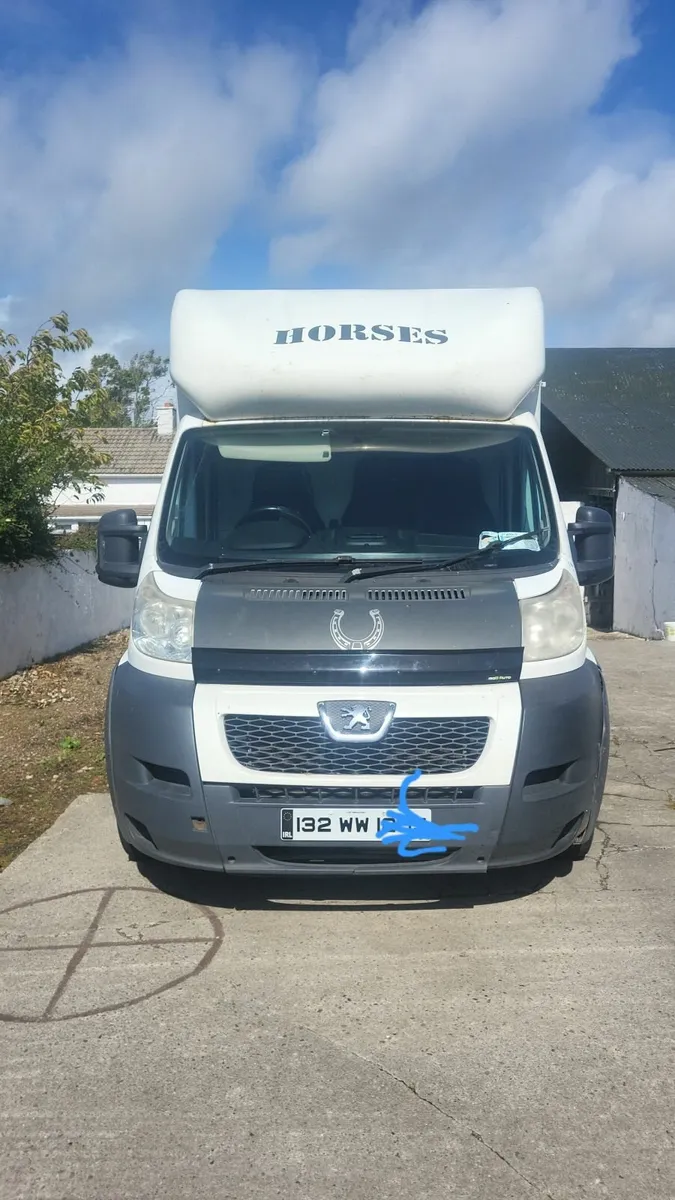 2013 Peugeot Horse Lorry (2 horses) - Image 2