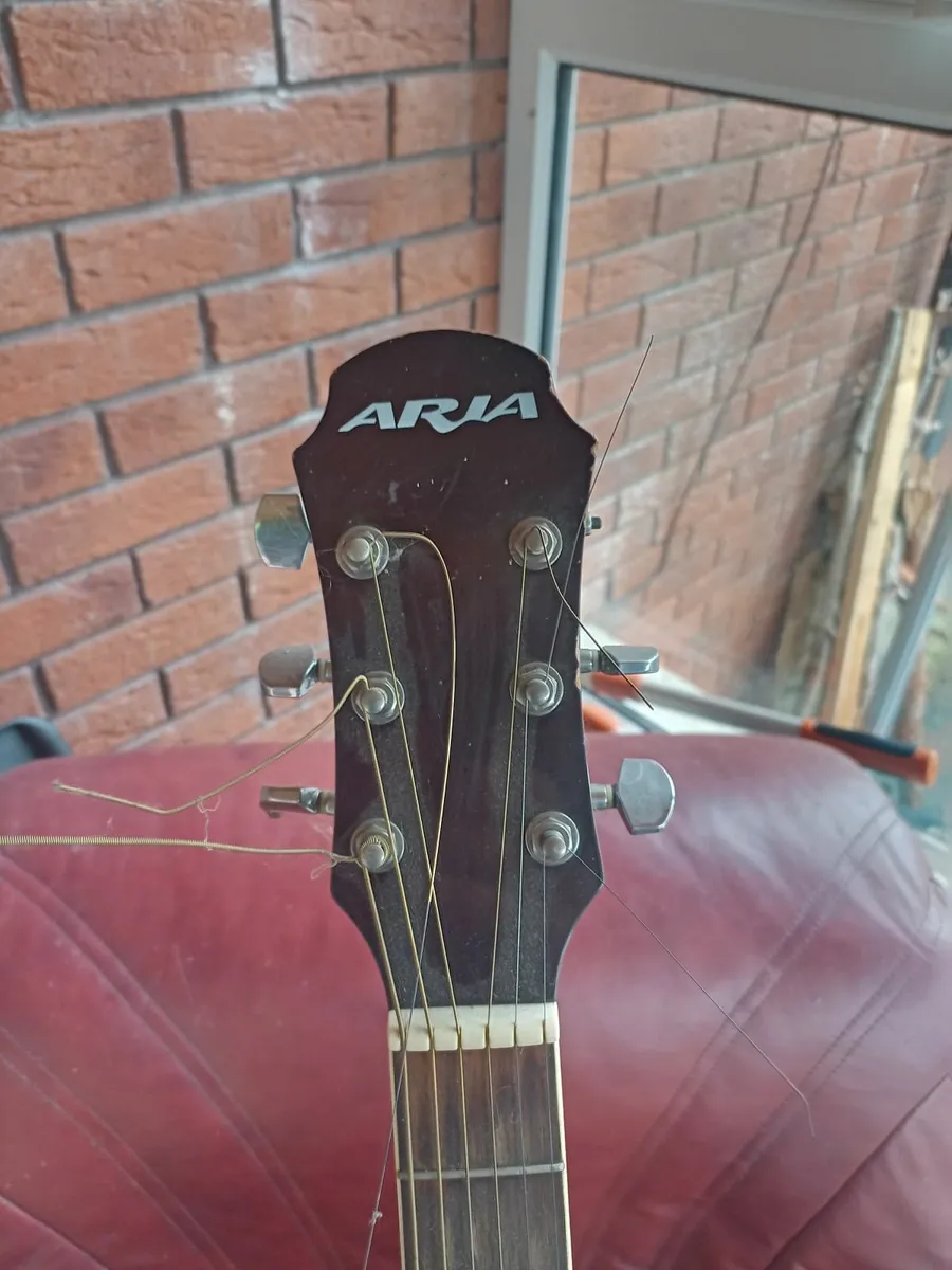 Aria Electo Acoustic Guitar - Image 2