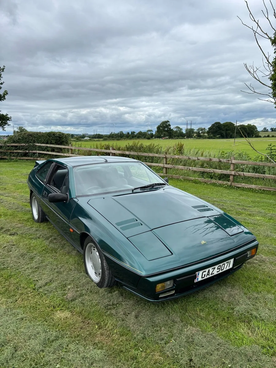 Lotus Excel SE - Image 1