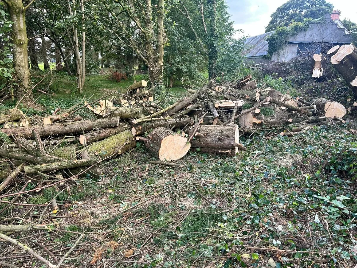 Timber for Sale