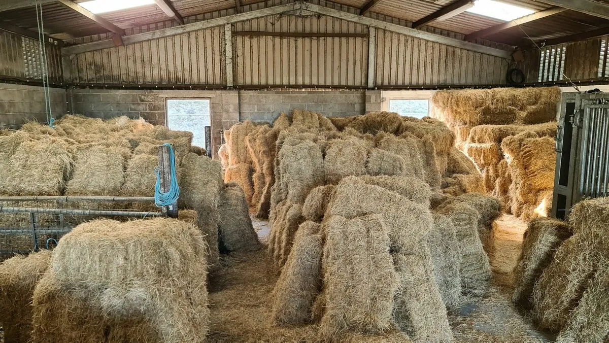 Organic Hay