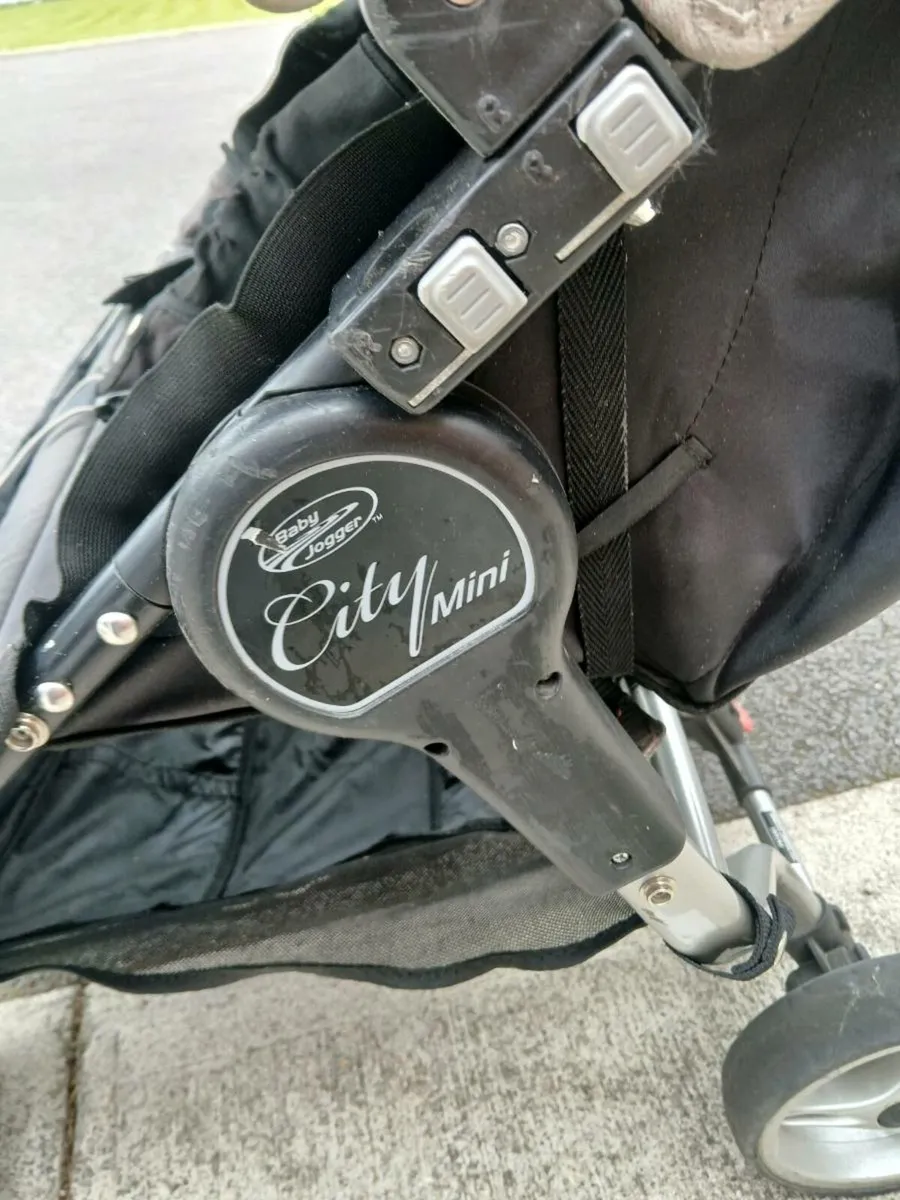 Twin buggy - Image 2