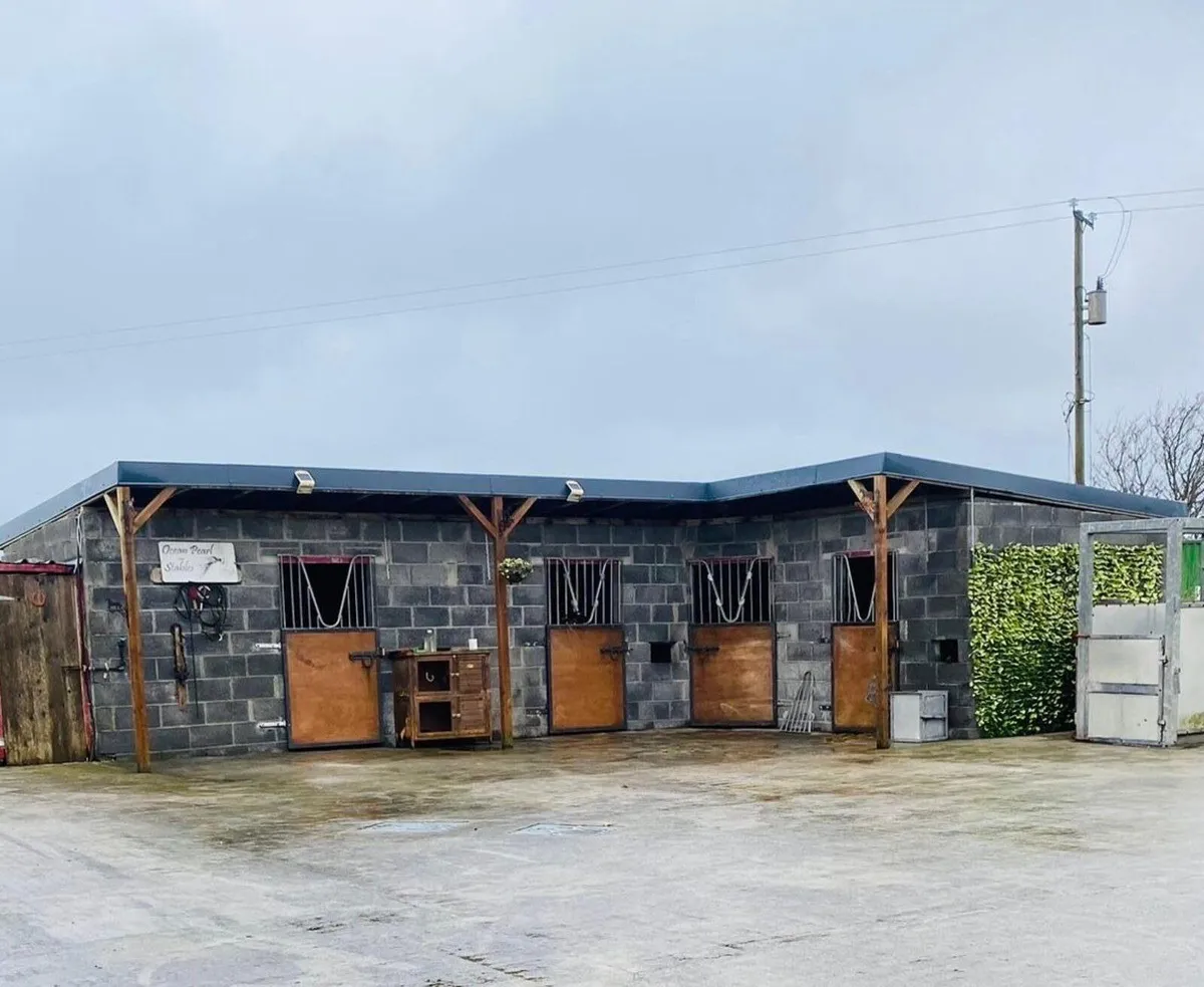 COLT/FILLIE inspections prep available - Image 2